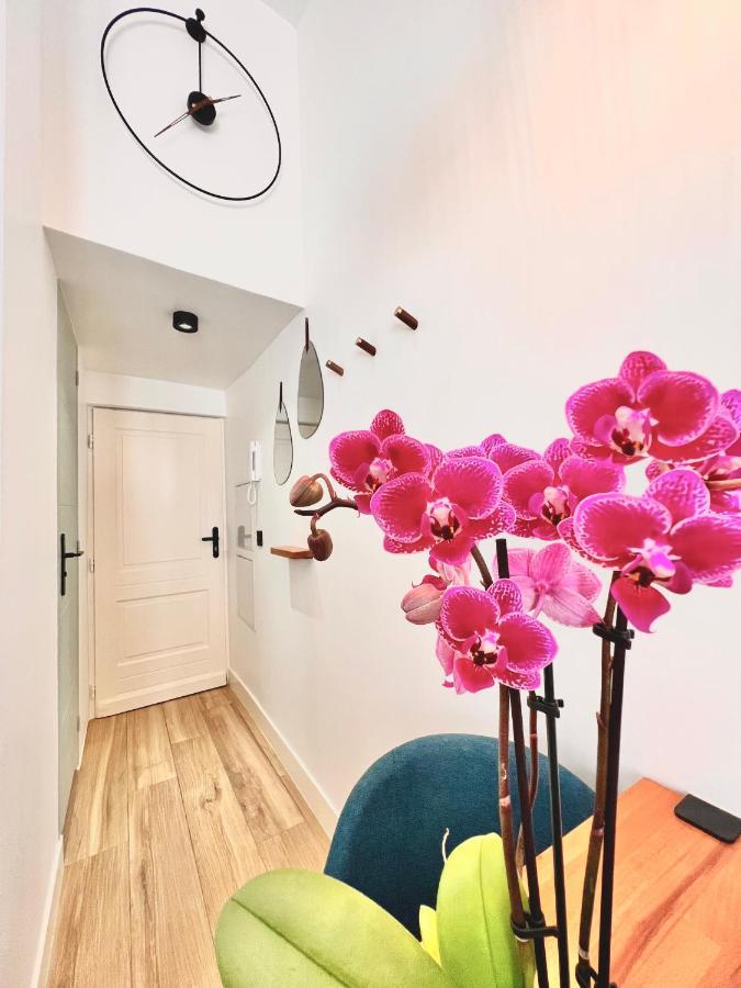 Duplex Le Gesu - Heart Of Old Town - Modern - Wifi - Clim Lejlighed Nice Eksteriør billede